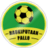 Haukiputaan Pallo