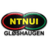 NTNUI