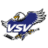 EC VSV