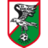 Sokol Kleczew