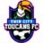 Twin City Toucans